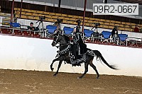09r2-0667 proof