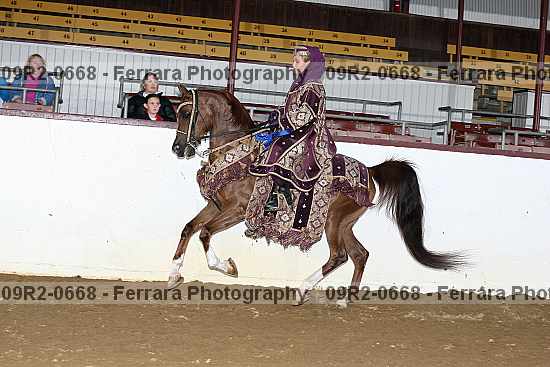 Proof 09r2-0668