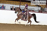 09r2-0668 proof