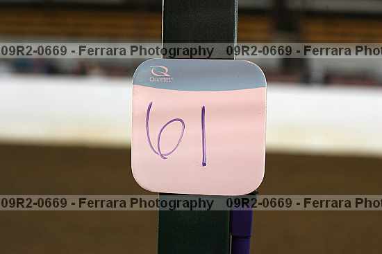 Proof 09r2-0669