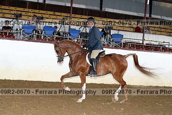 Proof 09r2-0670