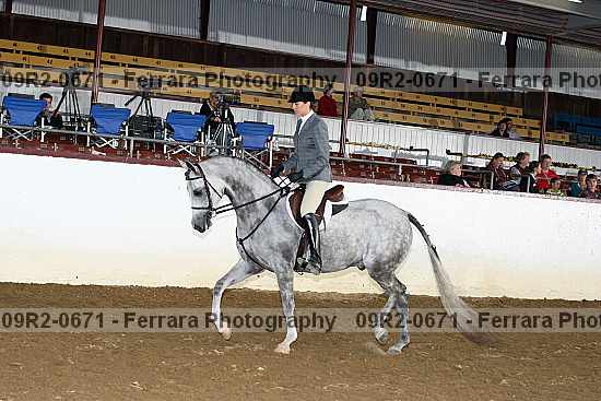 Proof 09r2-0671