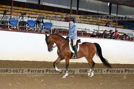 Proof 09r2-0672
