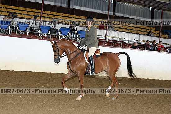 Proof 09r2-0673