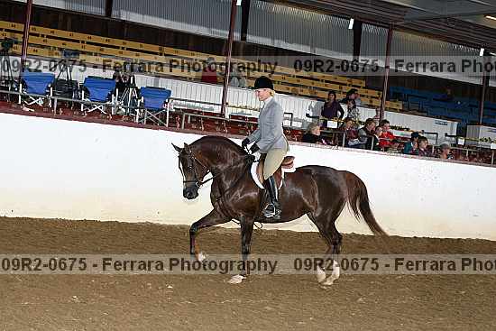 Proof 09r2-0675