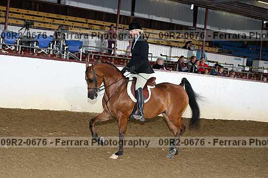 Proof 09r2-0676
