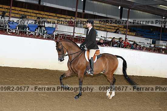 Proof 09r2-0677