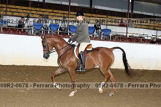 Proof 09r2-0678