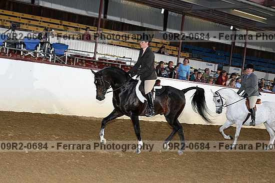 Proof 09r2-0684