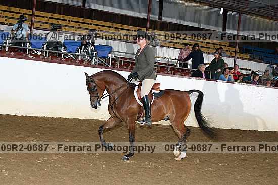 Proof 09r2-0687