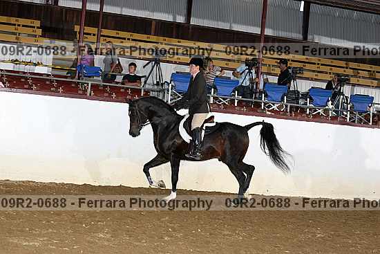 Proof 09r2-0688