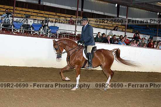 Proof 09r2-0690