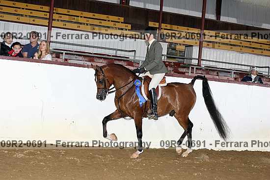Proof 09r2-0691