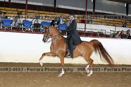 Proof 09r2-0693