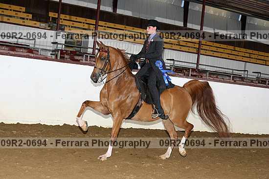 Proof 09r2-0694