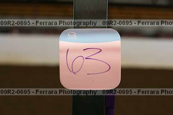 Proof 09r2-0695