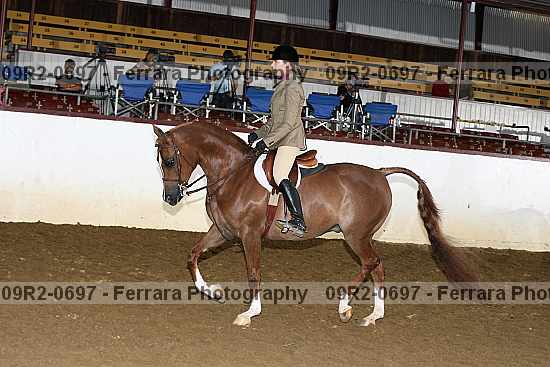 Proof 09r2-0697