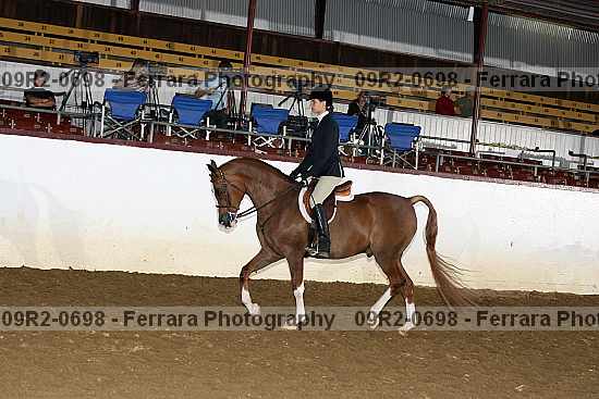 Proof 09r2-0698