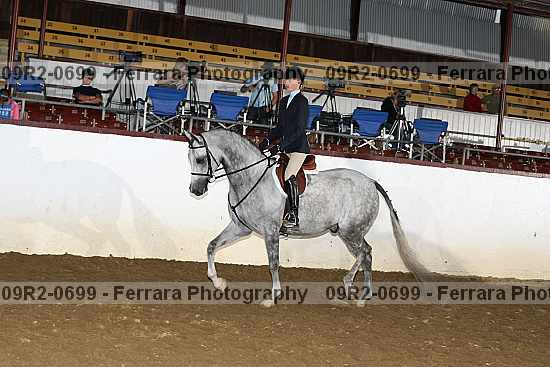 Proof 09r2-0699