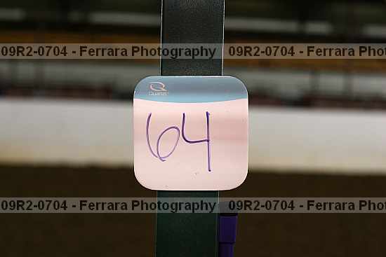 Proof 09r2-0704