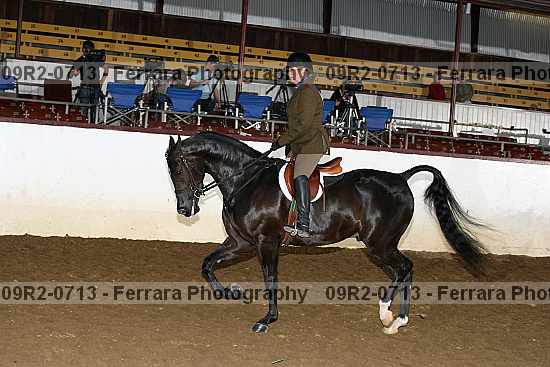 Proof 09r2-0713