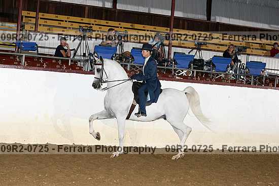 Proof 09r2-0725