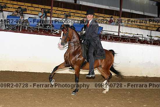 Proof 09r2-0728