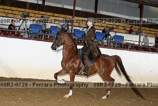 Proof 09r2-0729