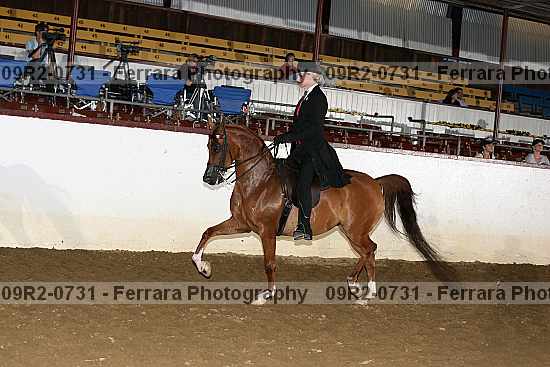 Proof 09r2-0731