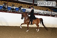 09r2-0731 proof