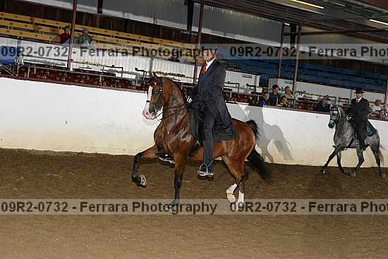 Proof 09r2-0732