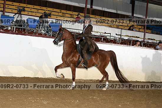 Proof 09r2-0733