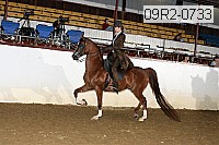 09r2-0733 proof