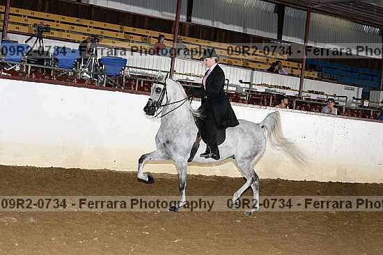 Proof 09r2-0734