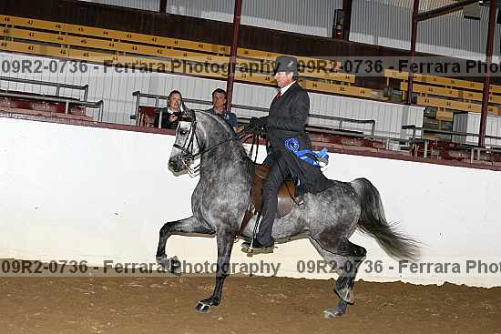 Proof 09r2-0736