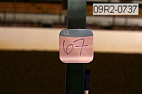 09r2-0737 proof