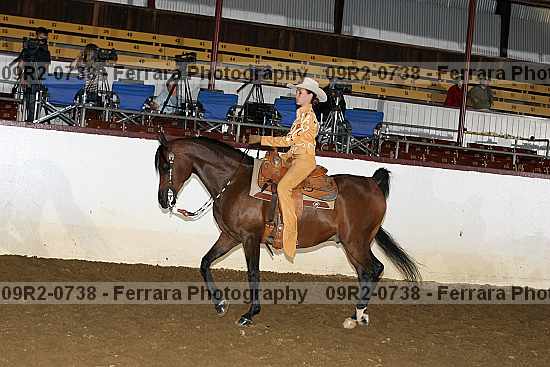 Proof 09r2-0738
