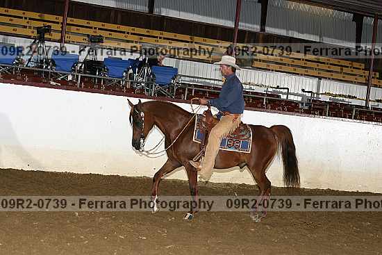 Proof 09r2-0739