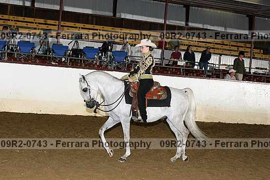 Proof 09r2-0743