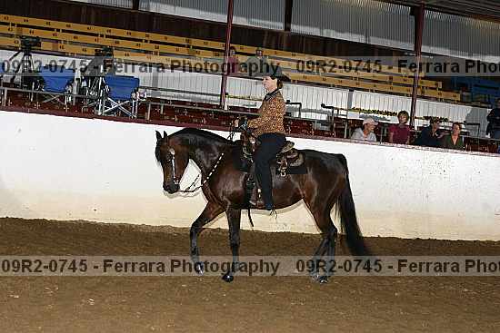 Proof 09r2-0745