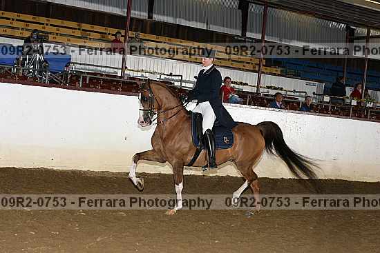 Proof 09r2-0753