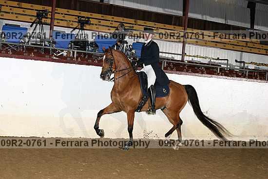 Proof 09r2-0761