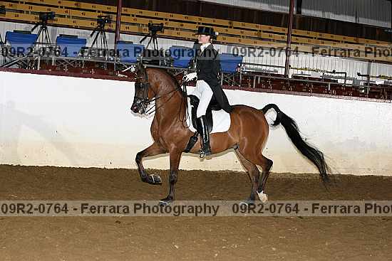 Proof 09r2-0764