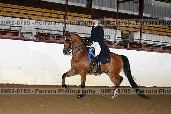 Proof 09r2-0765