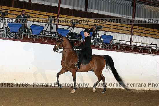 Proof 09r2-0768