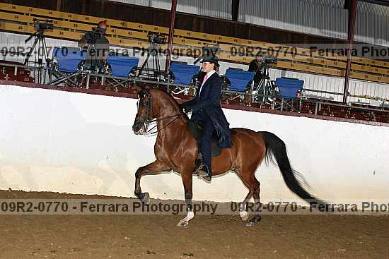 Proof 09r2-0770