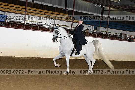 Proof 09r2-0772