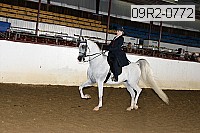 09r2-0772 proof