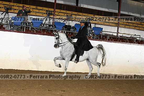 Proof 09r2-0773