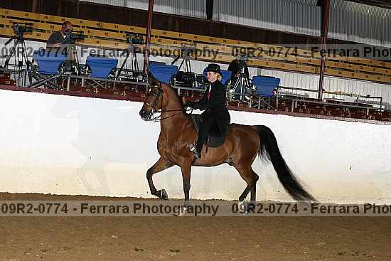 Proof 09r2-0774